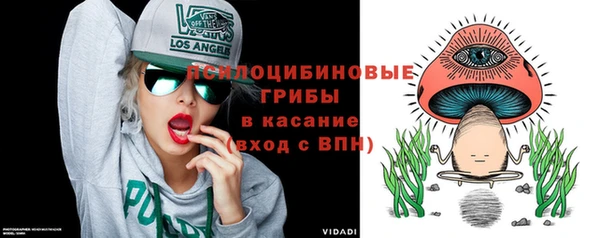спиды Аркадак