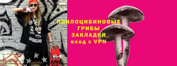 спиды Аркадак
