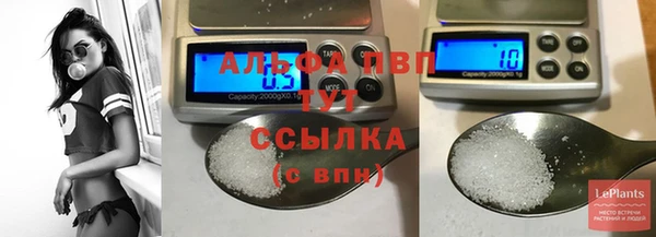 спиды Аркадак