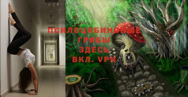 эйфоретик Армянск