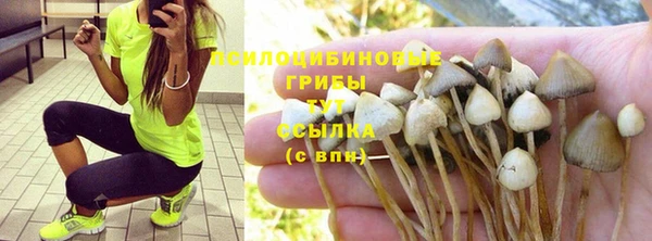 спиды Аркадак