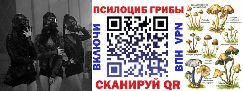 Галлюциногенные грибы мицелий купить закладку Свободный